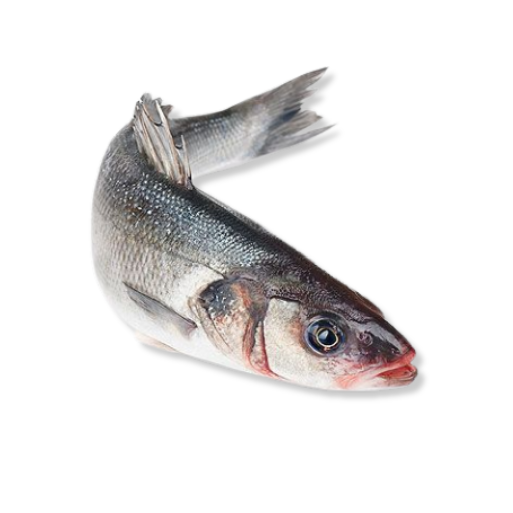 Fresh Whole Sea Bream UAE (1 Piece)